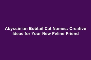 Abyssinian Bobtail Cat Names: Creative Ideas for Your New Feline Friend