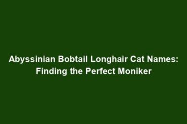 Abyssinian Bobtail Longhair Cat Names: Finding the Perfect Moniker