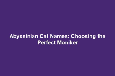 Abyssinian Cat Names: Choosing the Perfect Moniker