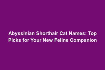 Abyssinian Shorthair Cat Names: Top Picks for Your New Feline Companion