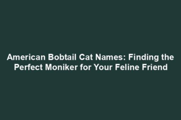 American Bobtail Cat Names: Finding the Perfect Moniker for Your Feline Friend