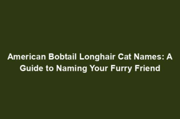 American Bobtail Longhair Cat Names: A Guide to Naming Your Furry Friend