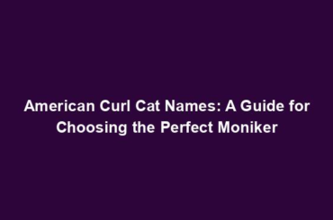 American Curl Cat Names: A Guide for Choosing the Perfect Moniker