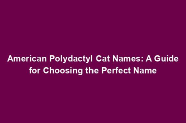 American Polydactyl Cat Names: A Guide for Choosing the Perfect Name