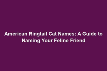 American Ringtail Cat Names: A Guide to Naming Your Feline Friend