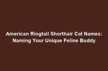 American Ringtail Shorthair Cat Names: Naming Your Unique Feline Buddy