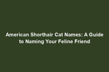 American Shorthair Cat Names: A Guide to Naming Your Feline Friend