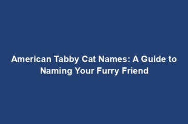 American Tabby Cat Names: A Guide to Naming Your Furry Friend