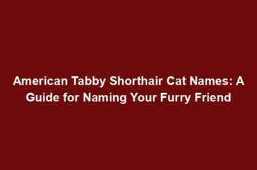 American Tabby Shorthair Cat Names: A Guide for Naming Your Furry Friend