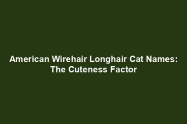 American Wirehair Longhair Cat Names: The Cuteness Factor