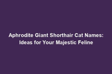 Aphrodite Giant Shorthair Cat Names: Ideas for Your Majestic Feline