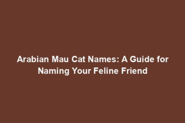 Arabian Mau Cat Names: A Guide for Naming Your Feline Friend