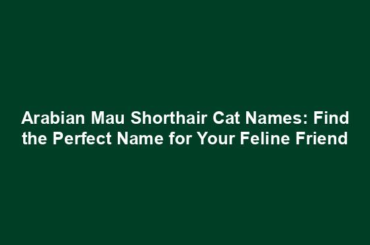 Arabian Mau Shorthair Cat Names: Find the Perfect Name for Your Feline Friend