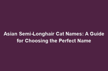 Asian Semi-Longhair Cat Names: A Guide for Choosing the Perfect Name