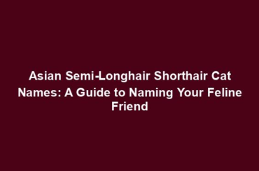 Asian Semi-Longhair Shorthair Cat Names: A Guide to Naming Your Feline Friend