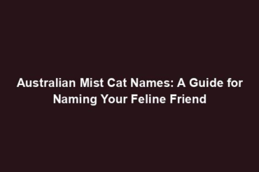 Australian Mist Cat Names: A Guide for Naming Your Feline Friend