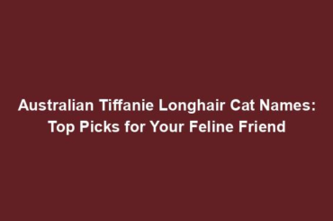 Australian Tiffanie Longhair Cat Names: Top Picks for Your Feline Friend