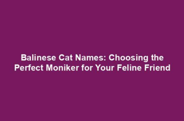 Balinese Cat Names: Choosing the Perfect Moniker for Your Feline Friend