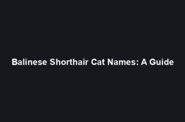 Balinese Shorthair Cat Names: A Guide