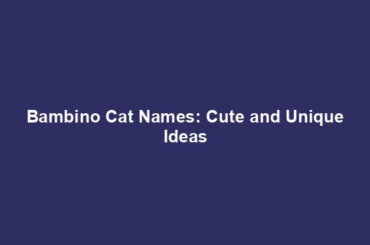 Bambino Cat Names: Cute and Unique Ideas