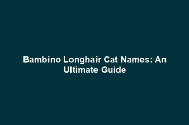 Bambino Longhair Cat Names: An Ultimate Guide