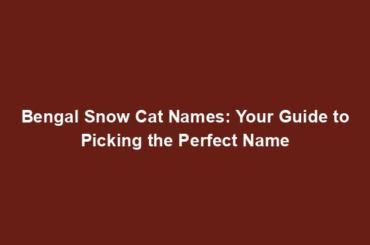 Bengal Snow Cat Names: Your Guide to Picking the Perfect Name