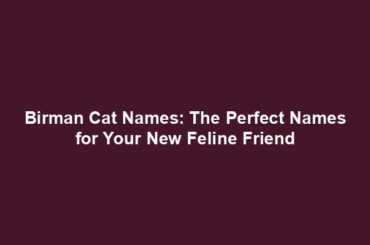 Birman Cat Names: The Perfect Names for Your New Feline Friend