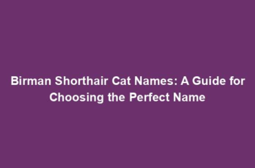 Birman Shorthair Cat Names: A Guide for Choosing the Perfect Name