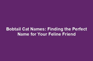 Bobtail Cat Names: Finding the Perfect Name for Your Feline Friend