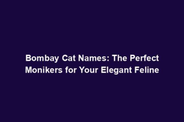 Bombay Cat Names: The Perfect Monikers for Your Elegant Feline