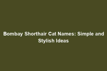 Bombay Shorthair Cat Names: Simple and Stylish Ideas