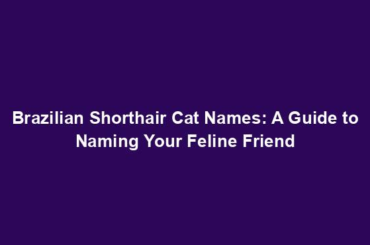 Brazilian Shorthair Cat Names: A Guide to Naming Your Feline Friend