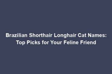 Brazilian Shorthair Longhair Cat Names: Top Picks for Your Feline Friend