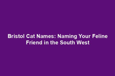 Bristol Cat Names: Naming Your Feline Friend in the South West