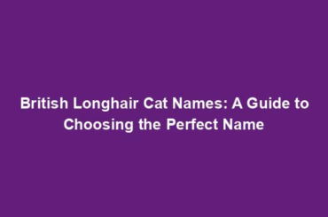 British Longhair Cat Names: A Guide to Choosing the Perfect Name