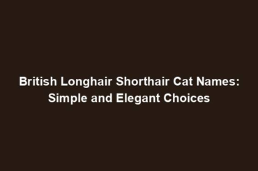 British Longhair Shorthair Cat Names: Simple and Elegant Choices