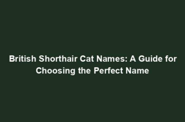 British Shorthair Cat Names: A Guide for Choosing the Perfect Name