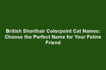 British Shorthair Colorpoint Cat Names: Choose the Perfect Name for Your Feline Friend