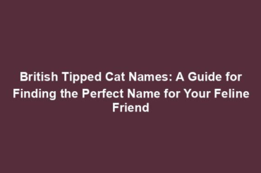 British Tipped Cat Names: A Guide for Finding the Perfect Name for Your Feline Friend