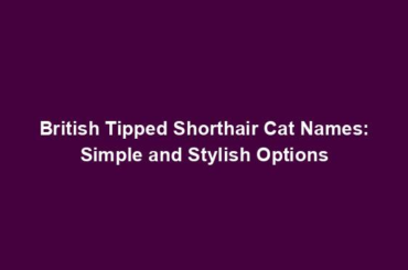 British Tipped Shorthair Cat Names: Simple and Stylish Options