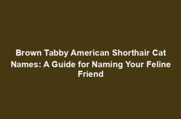 Brown Tabby American Shorthair Cat Names: A Guide for Naming Your Feline Friend