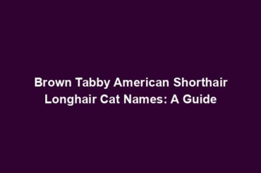 Brown Tabby American Shorthair Longhair Cat Names: A Guide