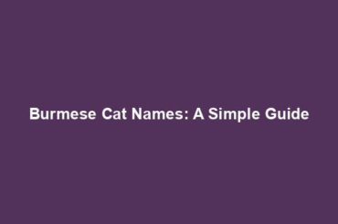 Burmese Cat Names: A Simple Guide