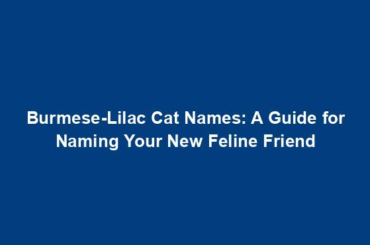 Burmese-Lilac Cat Names: A Guide for Naming Your New Feline Friend