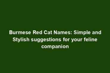 Burmese Red Cat Names: Simple and Stylish suggestions for your feline companion