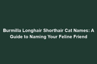 Burmilla Longhair Shorthair Cat Names: A Guide to Naming Your Feline Friend