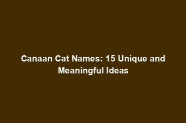 Canaan Cat Names: 15 Unique and Meaningful Ideas