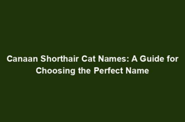 Canaan Shorthair Cat Names: A Guide for Choosing the Perfect Name