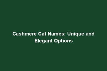 Cashmere Cat Names: Unique and Elegant Options