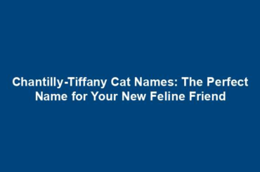 Chantilly-Tiffany Cat Names: The Perfect Name for Your New Feline Friend